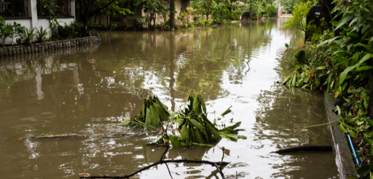 Inondation Cyclone Assurance Reunion